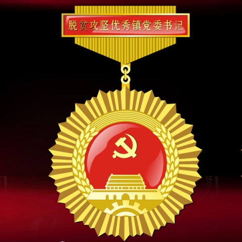 陜西定制　脫貧攻堅(jiān)優(yōu)秀鎮(zhèn)黨委書(shū)記獎(jiǎng)牌獎(jiǎng)?wù)露ㄗ? title=