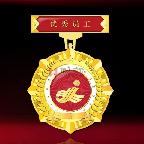 湖南長沙湘江集團優(yōu)秀員工獎章紀念章