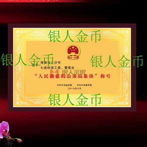 中組部人民滿意的公務(wù)員集體獎(jiǎng)牌證書