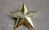 金屬鍍金五角星徽章,五角星胸標(biāo),五角星胸針