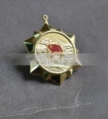 共青團五四青年獎章,五四青年勛章,金質(zhì)勛功章
